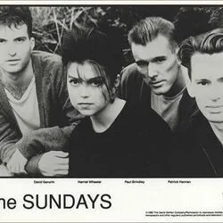 Monochrome Solo Tab by The Sundays