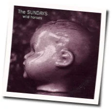 Wild Horses Tab by The Sundays