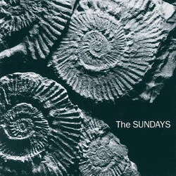 You're Not The Only One I Know Bass Tab by The Sundays