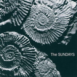You're Not The Only One I Know Chords by The Sundays