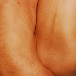 Bluebird by Sunset Rollercoaster