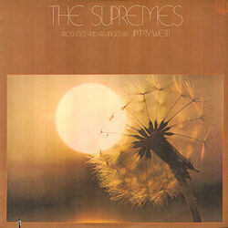 Paradise Bass tabs by The Supremes