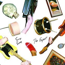 The Expert Chords by Sure Sure