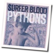 Say Yes To Me Tab by Surfer Blood