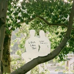 Love Like That Words From Her Chords by Suriel Hess