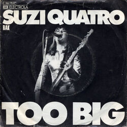 Too Big by Suzi Quatro