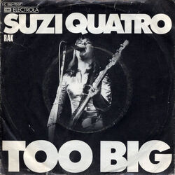 Too Big Chords by Suzi Quatro