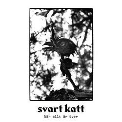 När Allt är över Chords by Svart Katt