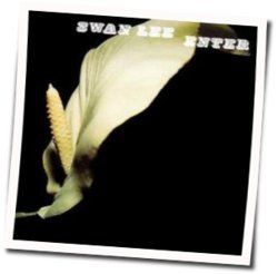 Flowers In The Wintertime Chords by Swan Lee