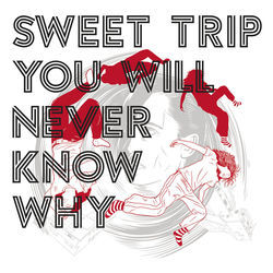 No Words To Be Found Bass Tab by Sweet Trip
