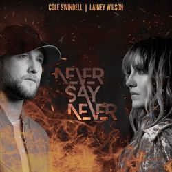 Never Say Never by Cole Swindell