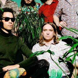 Switch tabs for Summer in the forest of time