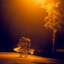 Sydney Rose chords for I stopped trying