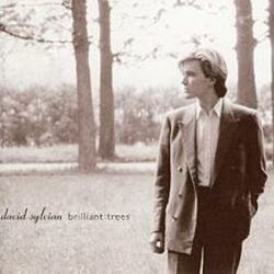 Brilliant Trees Chords by David Sylvian
