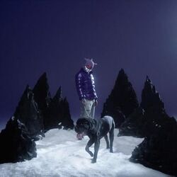 Plaster Chords by Szpaku