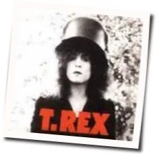 Baby Boomerang Tab by T Rex