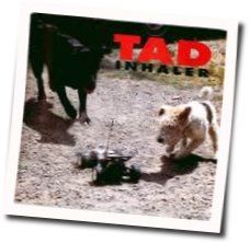 Tad tabs and guitar chords
