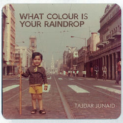 What Color Is Your Raindrop Chords by Tajdar Junaid