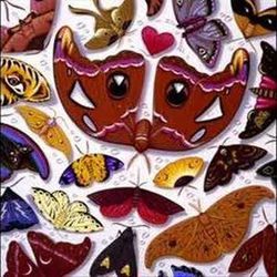 I Don't Believe In You Bass tabs by Talk Talk