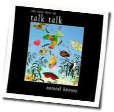 Talk Talk by Talk Talk
