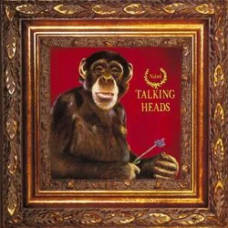 Nothing But Flowers Bass Tab by Talking Heads