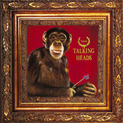 Mr Jones Bass tabs by Talking Heads