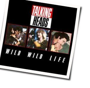 Wild Wild Life Tabs by Talking Heads