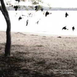 There's No Leaving Now Tab by The Tallest Man On Earth