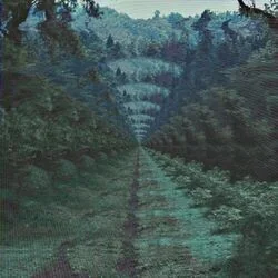 Runway Houses City Clouds Chords by Tame Impala