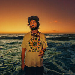 Loser Bass Tab by Tame Impala