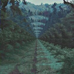 Runway Houses City Clouds Solo Tab by Tame Impala