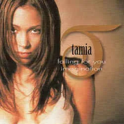 Falling For You Chords by Tamia