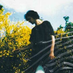 Fascination Chords by Tamino