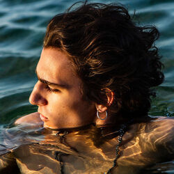 Indigo Night Bass tabs by Tamino