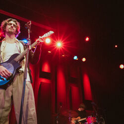 Willow Live Tabs by Tamino