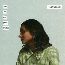 Cut Me Out Your Photos Chords by Tamzene