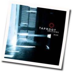 Dreams by Taproot
