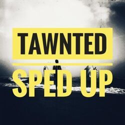 T-shirt Chords by Tawnted