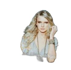 The Way I Loved You  Chords by Taylor Swift