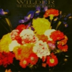 And Then The Fighting Takes Over Chords by The Teardrop Explodes