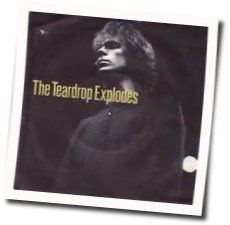 Poppies In The Field by The Teardrop Explodes