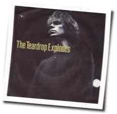 Poppies In The Field Bass tabs by The Teardrop Explodes