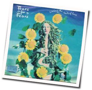 Sowing The Seeds Of Love  Bass Tab by Tears For Fears