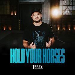 Hold Your Horses by Tebey