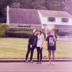 We Found Two Dead Swans And Filled Their Bodies With Flowers Chords by Teen Suicide