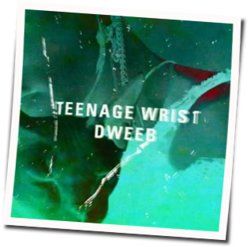 Dweeb Tab by Teenage Wrist