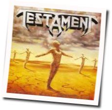 Sins Of Omission Tabs by Testament