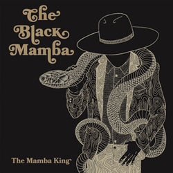 Believe Chords by The Black Mamba