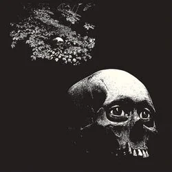 Fucking Kill Me Bass Tab by Thee Oh Sees