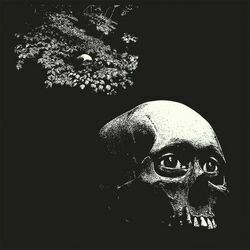 A Foul Form Bass Tab by Thee Oh Sees